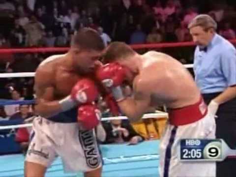 2002-05-18 Arturo Gatti vs Mickey Ward (round 9)