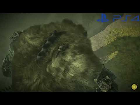 Shadow of the Colossus PS2 PS3 & PS4 #shorts