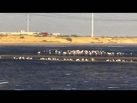 Russian beach ‎رشین بیچ