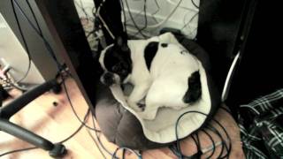 KickDrums Ghost Trailer