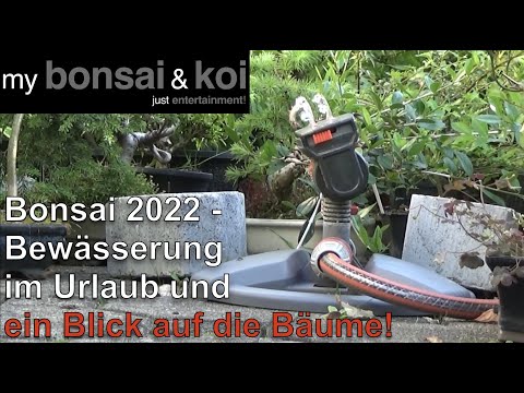 Bonsai 2022-31 - Urlaubs-Bewässerung und Rundgang durch die Bonsai