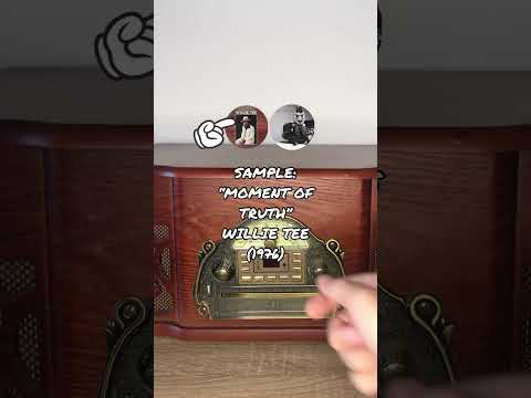 Lil Wayne - "Tha Mobb" prod. by Heatmakerz samples "Moment of Truth" by Willie Tee #SampleBible