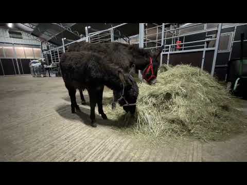 Little Józio and his mother are already with us.