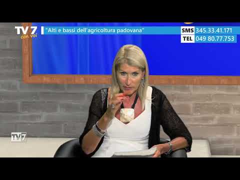 Tv7 with You 8/9/25 - The Ups and Downs of Paduan Agriculture (1 of 2)