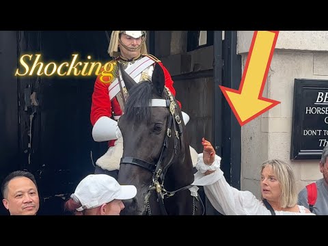 Shocking!!! What did disrespectful tourists do to king’s guard horse, it’s disgusting!!!