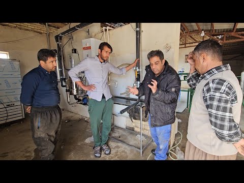 🚱🐄🚜Cattle Fencing and Launching a Modern Milking System in a Large Cowshed with Babak and Soleiman