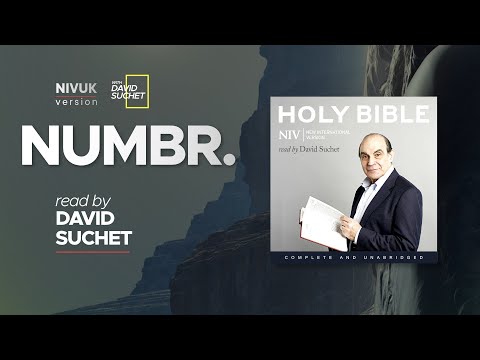 The Complete Holy Bible - NIVUK Audio Bible - 4 Numbers