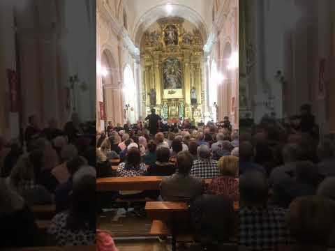 Ver vídeo