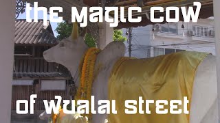 Download lagu Famous Monsters of Thailand, episode 4: The magic cow of Wualai street mp3 Download lagu Famous Monsters of Thailand, episode 4: The magic cow of Wualai street mp3