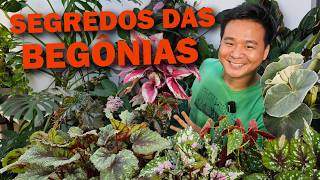 Miniatura do vídeo