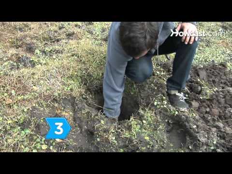 How to Make a Solar Still