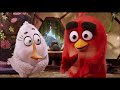 Pigeons And Cookies And Trash TheCartoonMan12 Version Re Uploaded