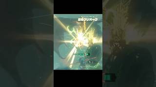 パラセール知らない人、雷電グリオークに挑む【ティアキン縛り】
