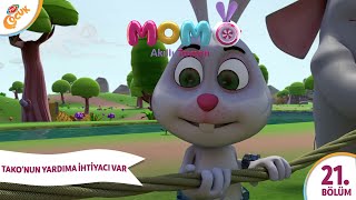 8. Bölüm - TAKO'NUN YARDIMA İHTİYACI VAR