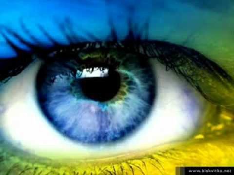 Steve Miller Shannon`s eyes