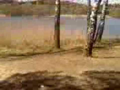 Bull wrzuca rower do jeziora Goszyńskiego - Straszyn ...