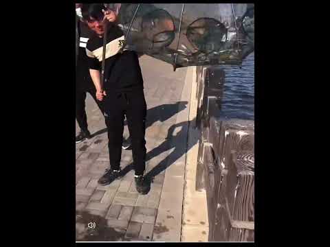 ~子甄彣璟~傘籠 傘式 蝦籠 地籠 捕魚籠 魚網 魚籠 龍蝦網 抓魚 抓蝦 捕魚 螃蟹籠 黃鱔籠 泥鰍籠