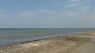 Saint Etienne - Only Love Can Break Your Heart (Andrew Weatherall Remix) - My Cut