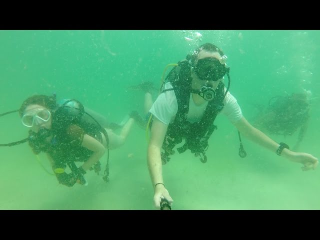 Navarre Beach Reef Dive 06-22-2015