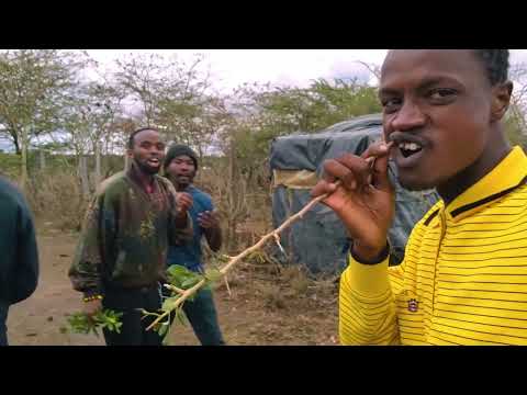 Thumbnail for CYP - Easy ft. Jayliste (Behind the Scenes) by cyp