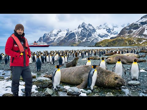 Sub Antarctic-South Georgia Island 🇦🇶🇬🇸- The Greatest Wildlife on Earth | Ep-4