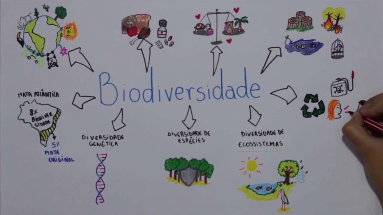 Biodiversidade