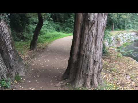 Camino de Santiago Portuguese Way Day 9 - Walk and Talk O Porriño and Respect