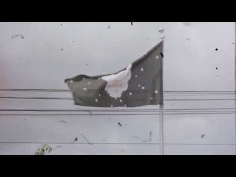 Agle & Moo Moonster - Pure Intention (Videoclip Oficial)