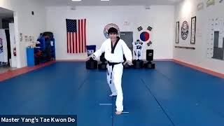 Live Class - Blue Belt - 5.5.20 @ 3pm