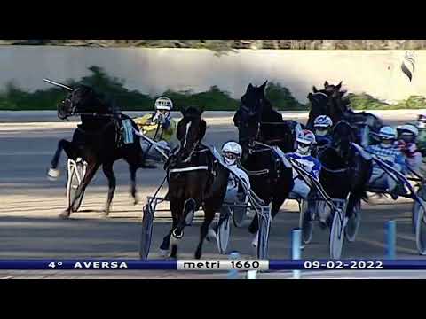 Aversa trotto 9 Febbraio 2022 - 4° Corsa