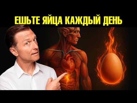 Что будет, если есть яйца каждый день?🧐