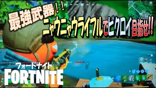 【フォートナイト】最強武器！！ニャウニャウライフルでビクロイ目指せ！！