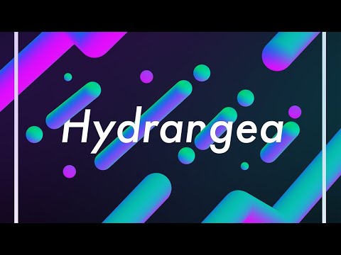 Srav3R - Hydrangea