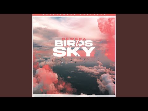 Birds In The Sky