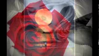 ROBERTA MIRANDA CHAMPANHE