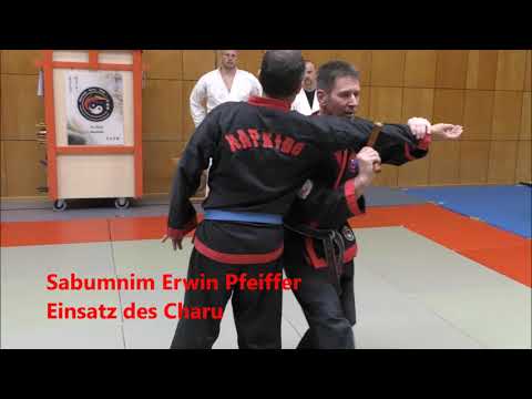 Hapkido Lehrgang 13 April 19 in Ulm/ Söflingen