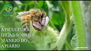 Miniatura do vídeo