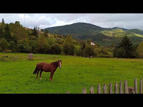 Carpathian Mountains, Gorgany, Syvulia from Bystrytsia village