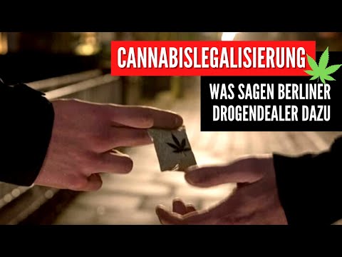 Cannabislegalisierung - Was denken Berliner DEALER? Doku2020