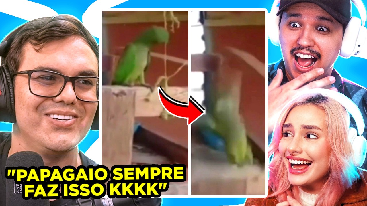 vendo vídeos com FINAIS INESPERADOS com o @mrfall 😂