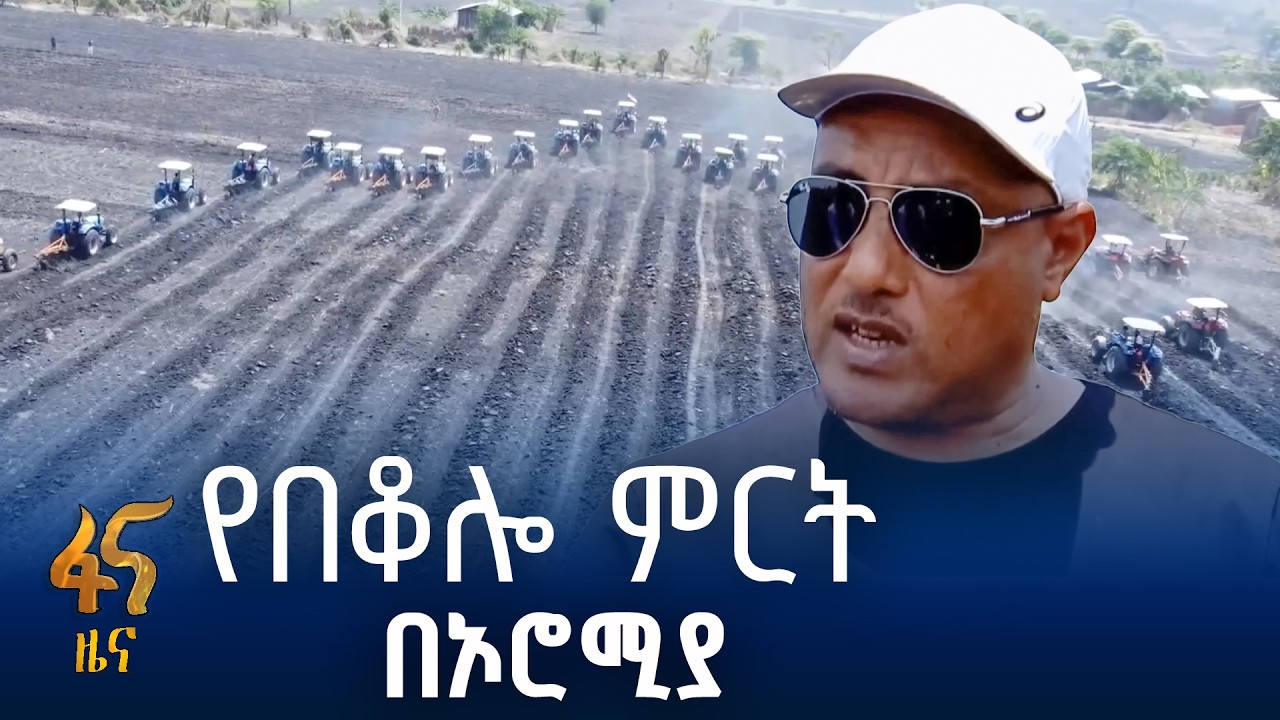 የ11 ሚሊየን ሄክታር መሬት ዝግጅት