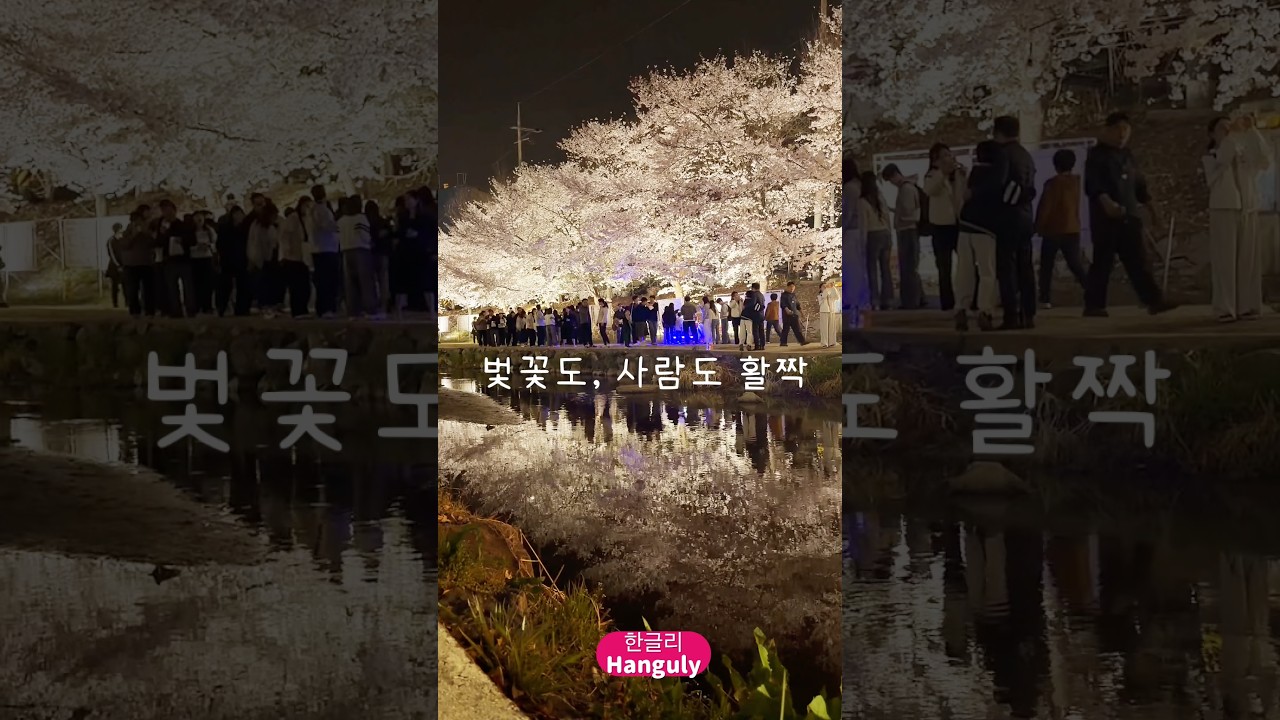 韓国天安の桜道
