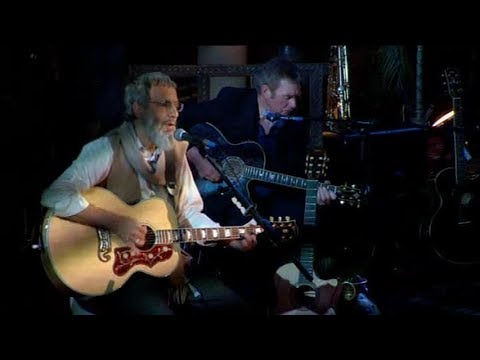 Cat Stevens : Padre & Hijo (Sub. español)