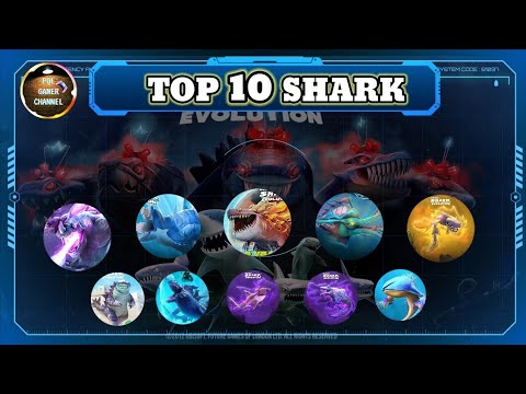 Top 10 sharks - Hungry shark evolution