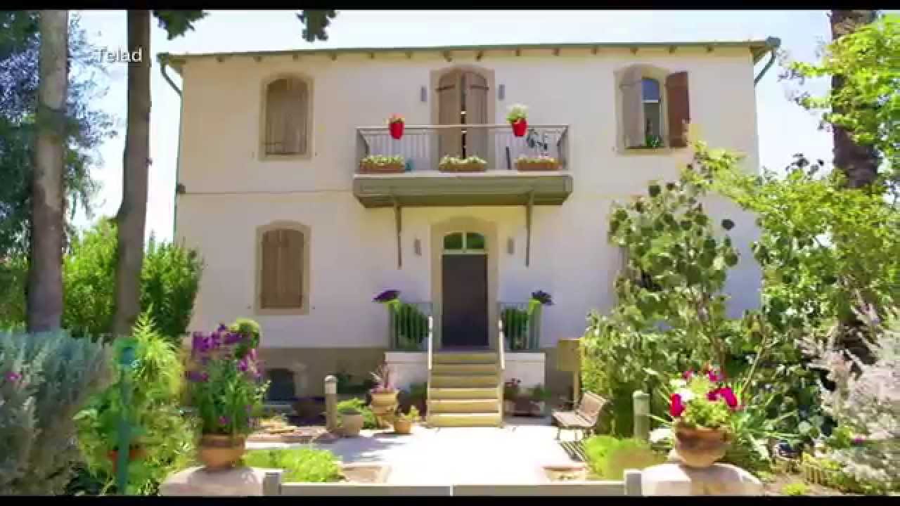 גויאבות טריילר 2.7.15 בקולנוע