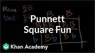 Punnett Square Fun
