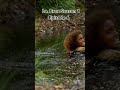 La brea season 1 epic scene  la brea is good web series #bestseries #shorts #upcomingmovies