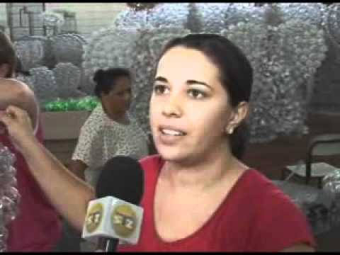 STZ Noticias - Enfeites Reciclados