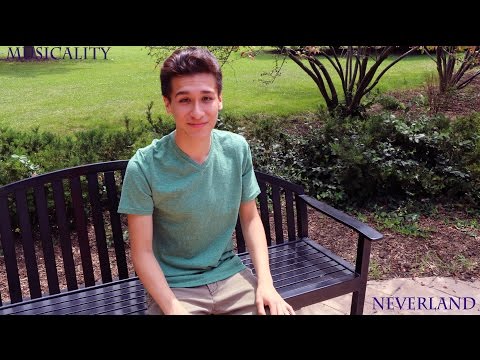 "Neverland" from FINDING NEVERLAND (Musicality Cover)