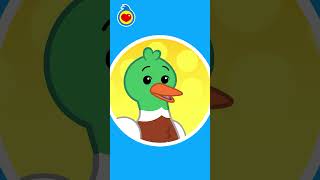 A RAM SAM SAM COM ANIMAIS 🦆 #shortinfantil #músicainfantil #heróidocoração